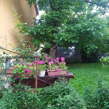 Apartament W Domu Na Wsi โทมาสโชว ลูเบลสกี ภายนอก รูปภาพ
